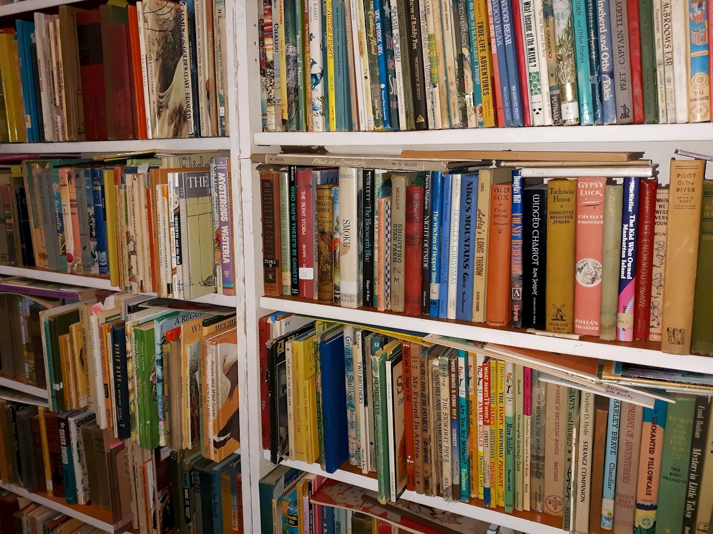 Why Every Child Deserves a Great Story